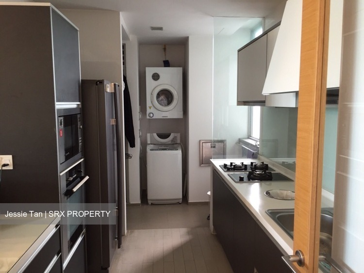 One Jervois (D10), Condominium #535320991